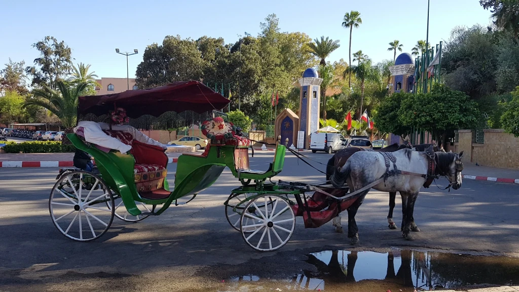 Calèche sur la route à Marrakech, Maroc