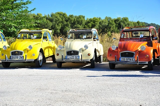 Vue de véhicules 2CV très colorés