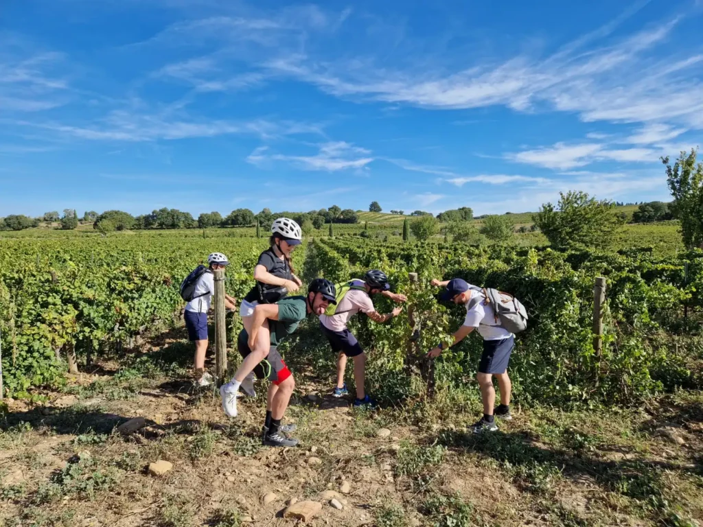 Vue de participants à un team building à Chateauneuf du pape dans les vignes