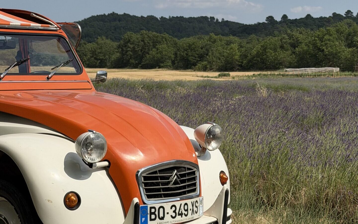 Cap sur le Verdon en 2CV : rallye à Gréoux-les-Bains