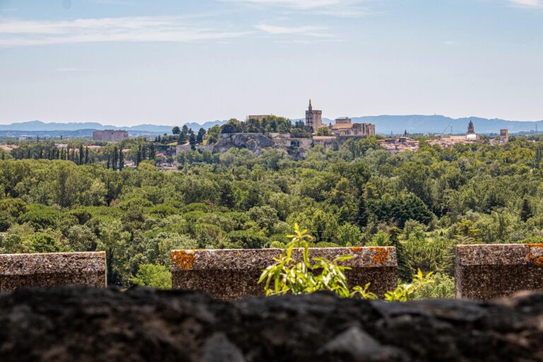 vue du rocher des doms et du palais des papes depuis villeneuve les avignon